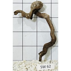 Stump wood 62