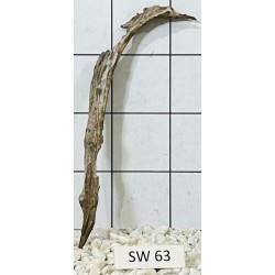 Stump wood 63