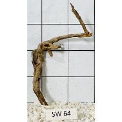 Stump wood 64