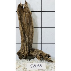 Stump wood 65