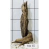 Stump wood 65