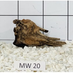 Mangrovewood 20