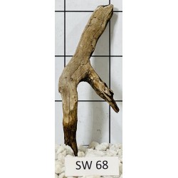 Stump wood 68