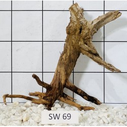 Stump wood 69