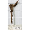 Stump wood 70