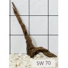 Stump wood 70
