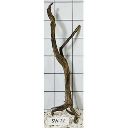 Stump wood 72