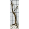 Stump wood 72