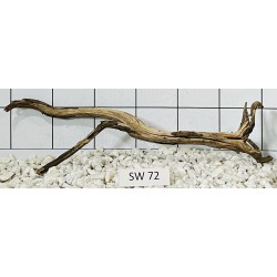 Stump wood 72