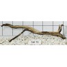 Stump wood 72