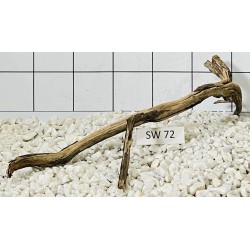 Stump wood 72