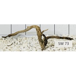 Stump wood 73