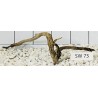 Stump wood 73
