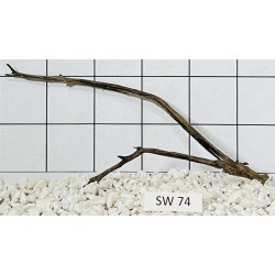 Stump wood 74