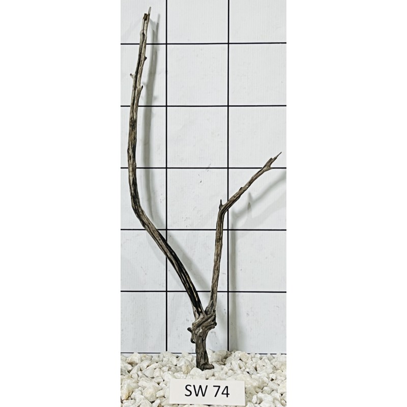 Stump wood 74