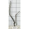 Stump wood 74
