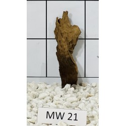 Mangrovewood 21