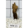 Mangrovewood 21
