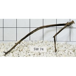 Stump wood 74