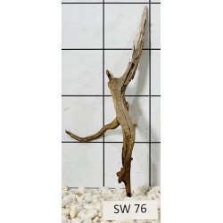 Stump wood 76