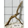 Stump wood 76