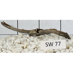 Stump wood 77