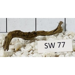 Stump wood 77