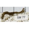 Stump wood 77
