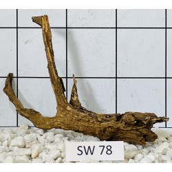Stump wood 78