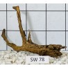 Stump wood 78