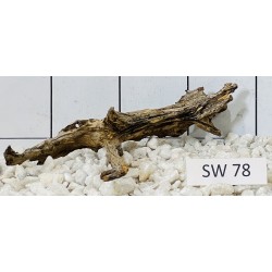 Stump wood 78