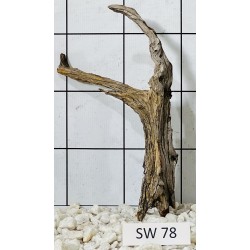 Stump wood 78