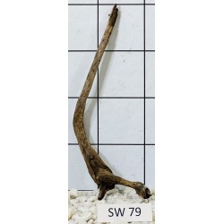 Stump wood 79