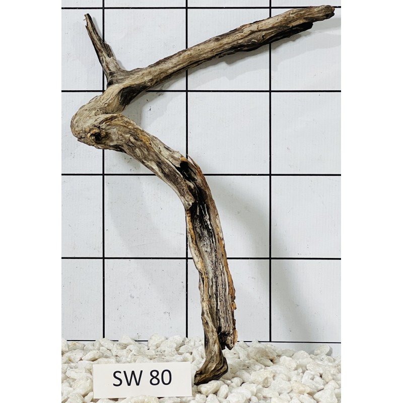 Stump wood 80