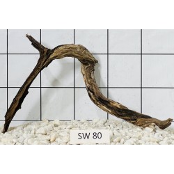 Stump wood 80
