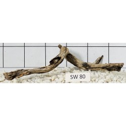 Stump wood 80