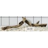 Stump wood 80