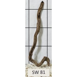 Stump wood 81