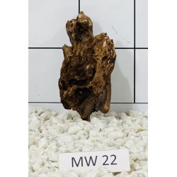 Mangrovewood 22