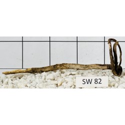Stump wood 82