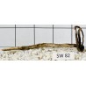 Stump wood 82