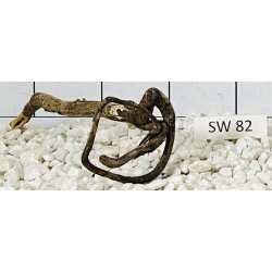 Stump wood 82