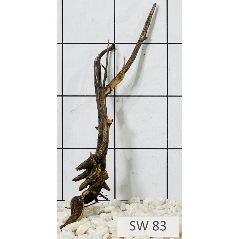 Stump wood 83