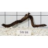 Stump wood 84