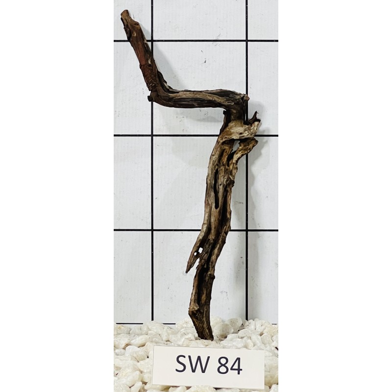 Stump wood 84