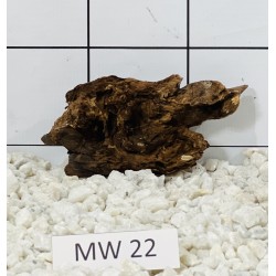 Mangrovewood 22