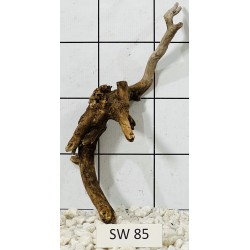 Stump wood 85