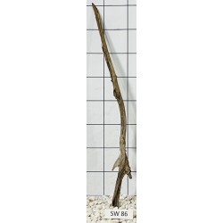 Stump wood 86