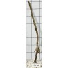 Stump wood 86