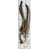 Stump wood 87